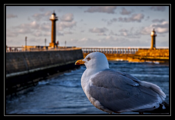 20250522-2010-9261_01