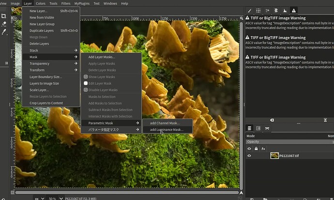 vokoscreenNG-2025-08-23_23-37-58-0001