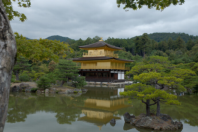 2025_10_11-10_32_54_DSCF7088