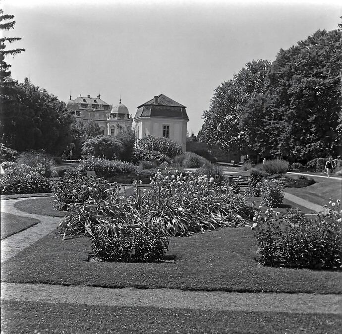 DSCF7194 RawTherape and GIMP (1)