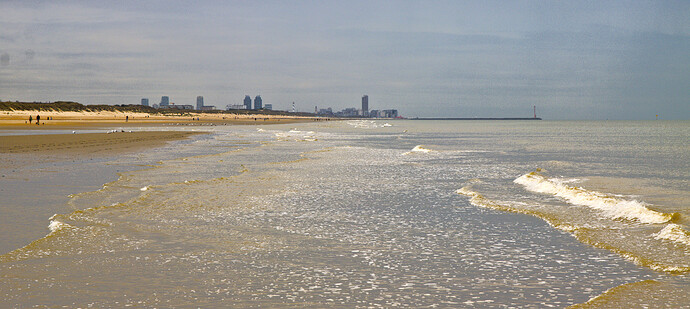 IMG_2293_1