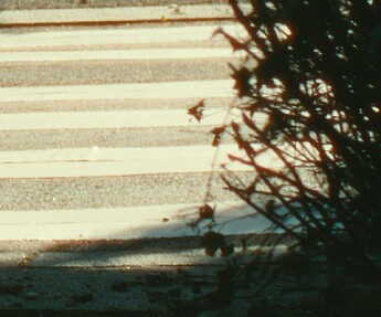 Highlights w halation