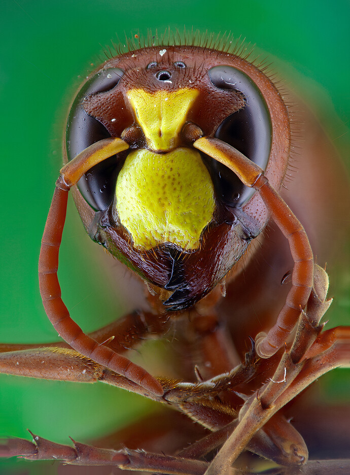 stack_stack__MG_1187-sharper