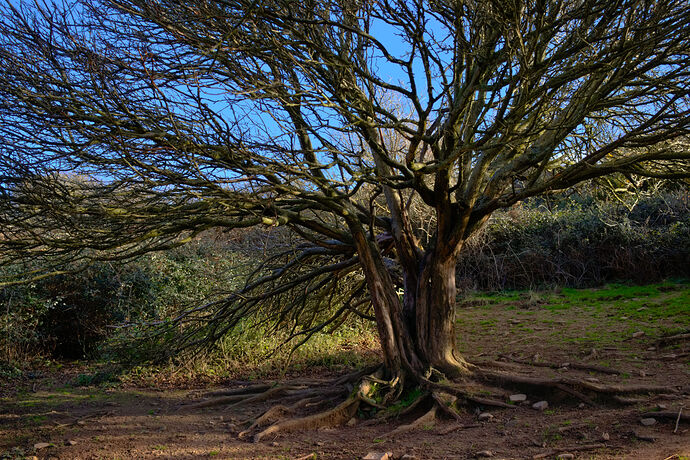 2022-01-31-11.58_art_edit