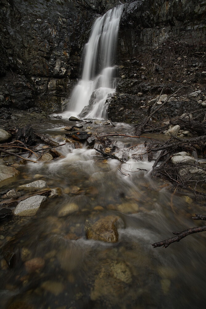 _DSC3676_1