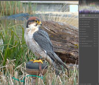 Screenshot from 2026-04-13 21-40-34