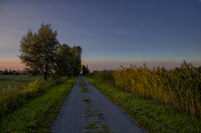 attempt EveningRoad_IMG_0745-