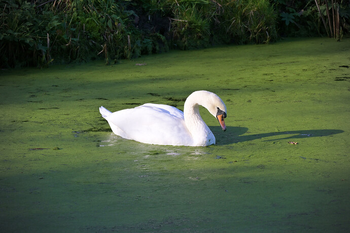 20251105-133938-DSC_0864