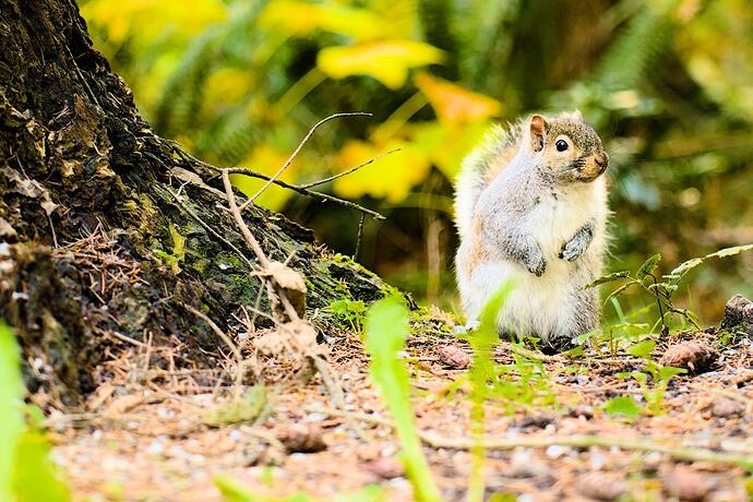 20231118_115241_02066