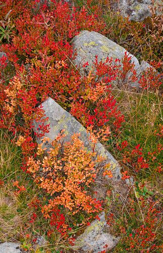 20250913_2025-09-13 nendaz_0091 P3