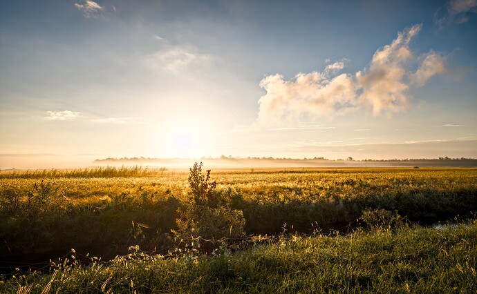 2024-09-29 04.27.55_01