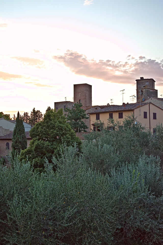 DSC_0535 RawTherapee and GIMP (1)