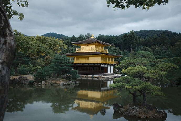 2025_10_11-10_32_54_DSCF7088