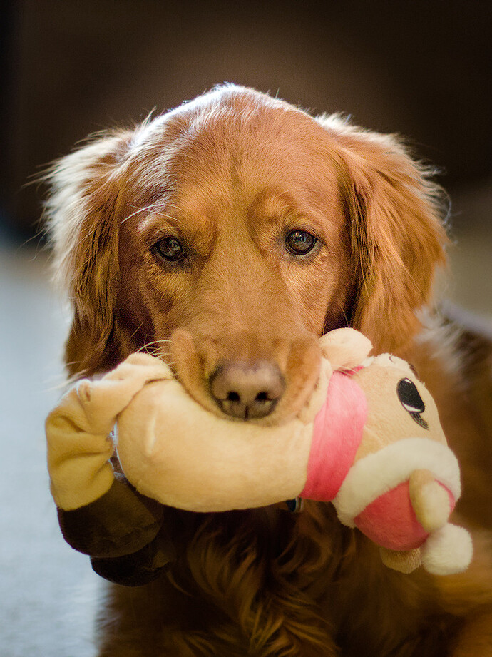 2015-01-22 093429-01