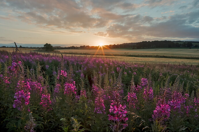 Sunset - IMGP2426-2017.07.24