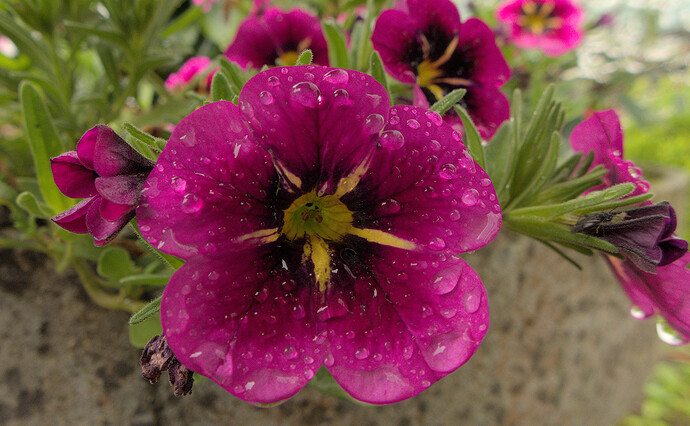 2024-07-03-16-08-39-P1030868