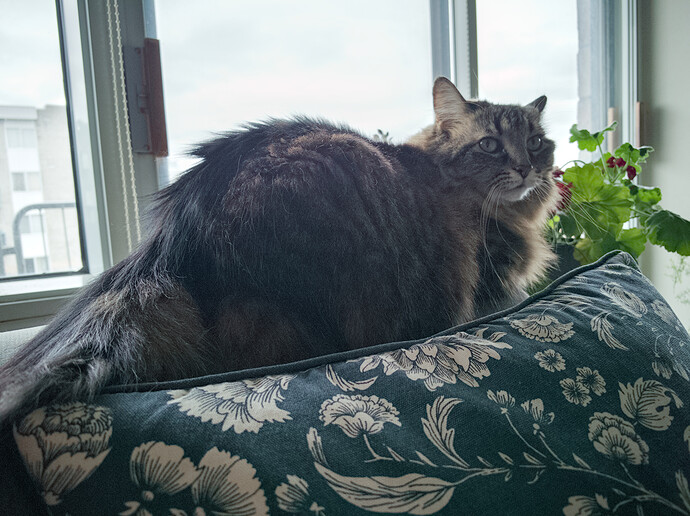 IMG_20231029_135200_02