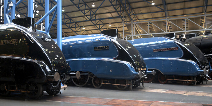 mallardAndFriendsYork