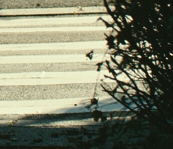 Highlights w o halation