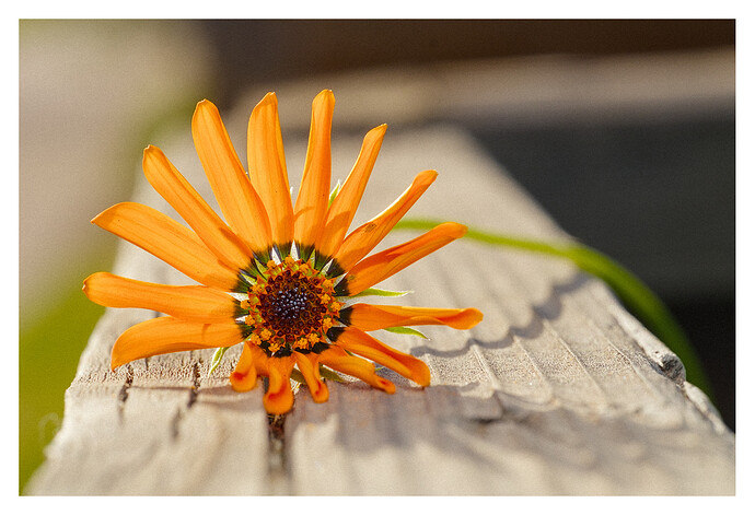 20250225_0032 (0)