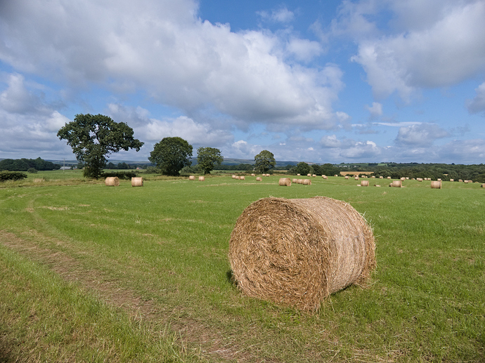 P1110377-rt-standard_film_curve-with_lens_corrections-1