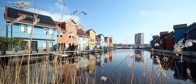 20260303-124152-DSC_0173 GIMP  (jpeg li)