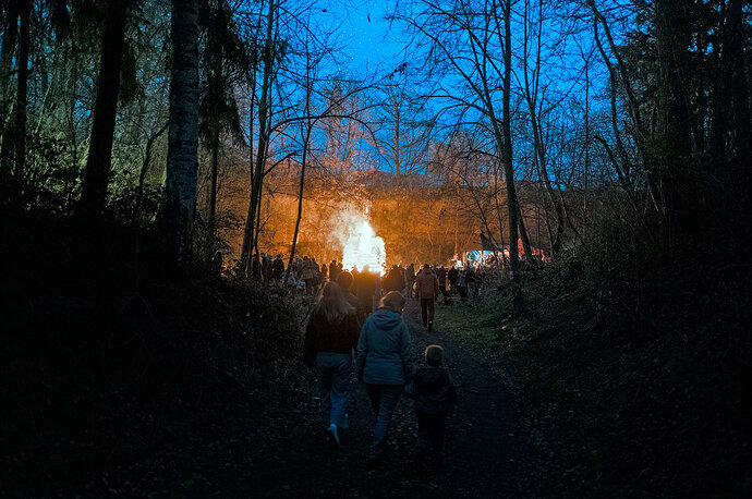 260404_202536_DSC09408_02