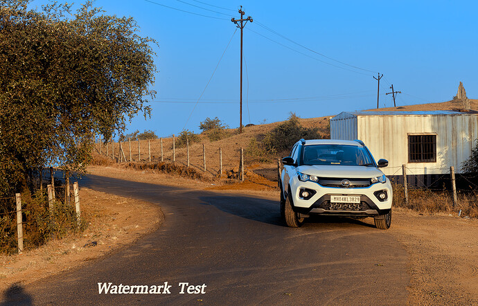 20201122_07.36.44_DSC_3665-lanczos-10-step