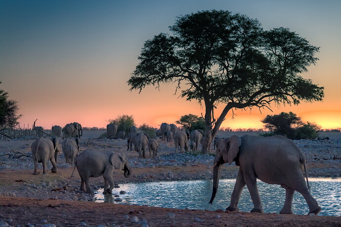 Namibia - 6W4A5041-2022.11.12