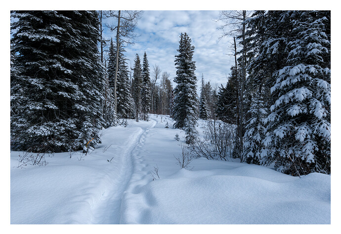 2020-02-25_10-40-25_PlayRAW