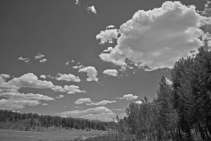 Red Filter landscape