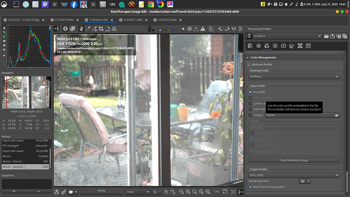 Screenshot from 2025-07-27 16-41-29