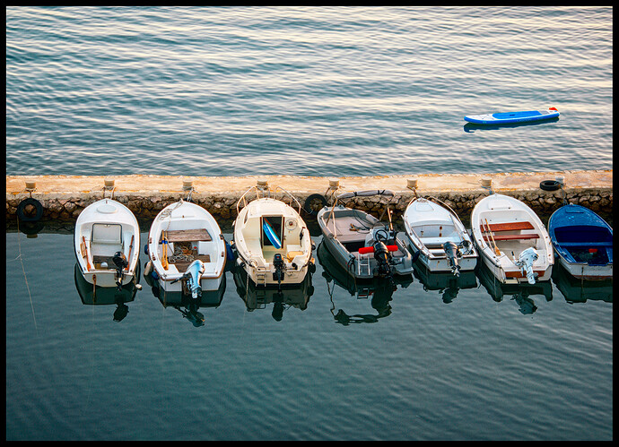 _DSC0005