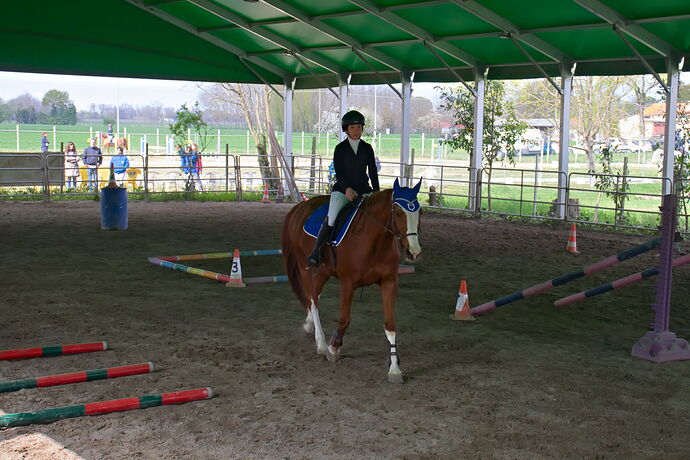 IMG_6624 Bitless_I_2023