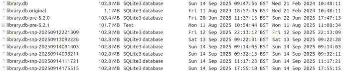 DT_config_20250914-180018