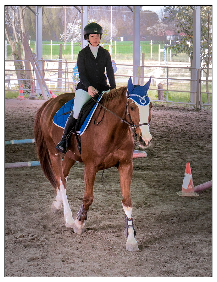 IMG_6624 Bitless_I_2023_1