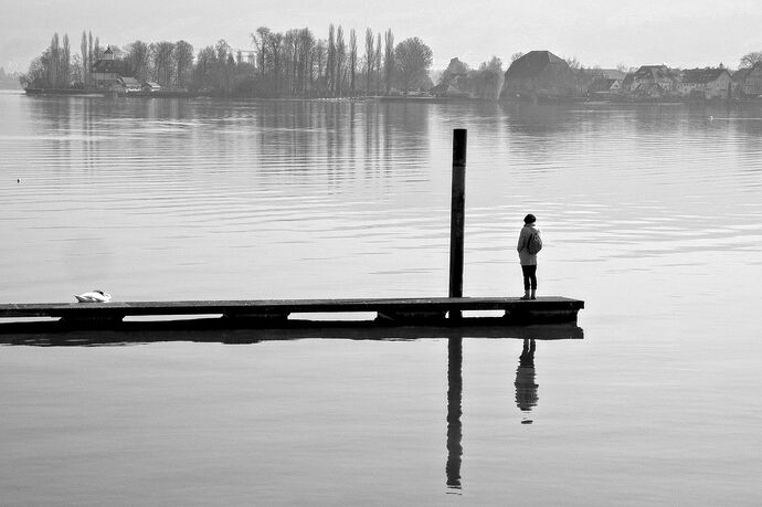 20260308_130132_006_bwcropped