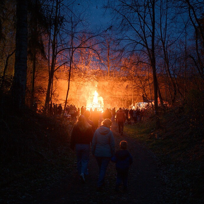 260404_202536_DSC09408_04