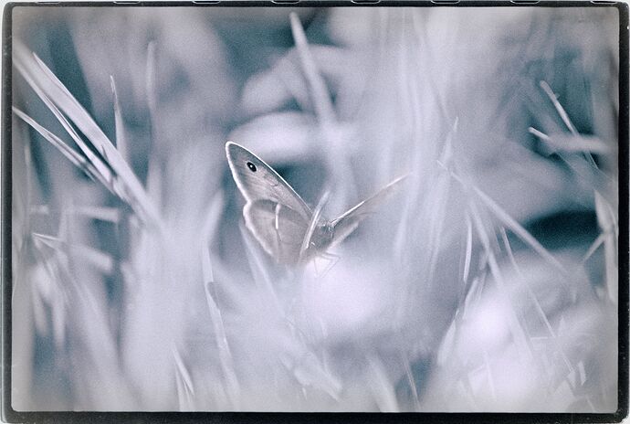 DSC04818_02