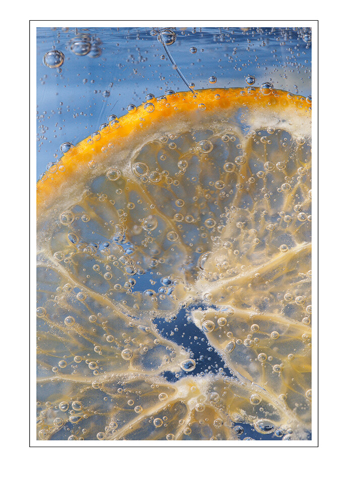 2026-01-08_Jan At Home_101