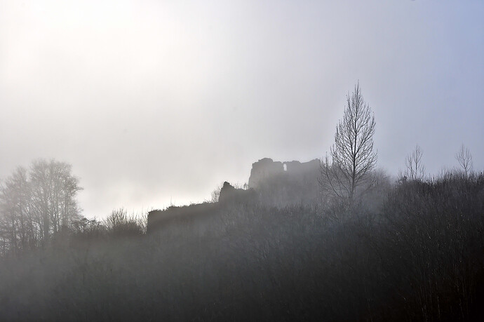 20251213-1406-0099 RawTherapee and GIMP (1)