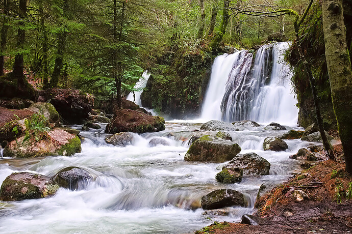 DSC08929 ART and GIMP (1)