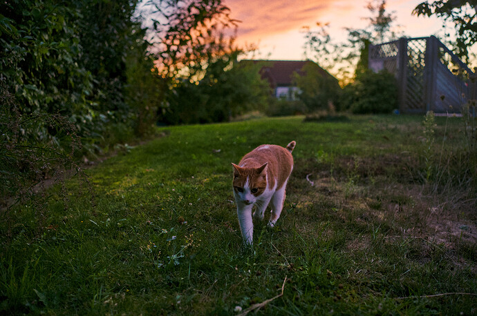 260824_203703_DSC07493