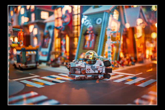 251116_120717_DSC06013