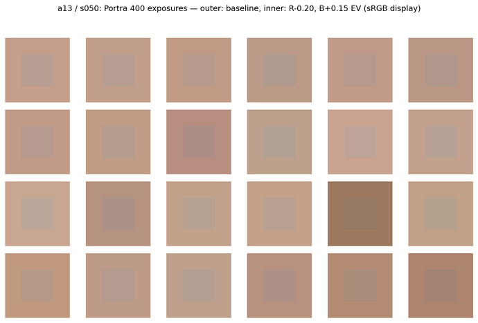 s050_portra_patch_grid