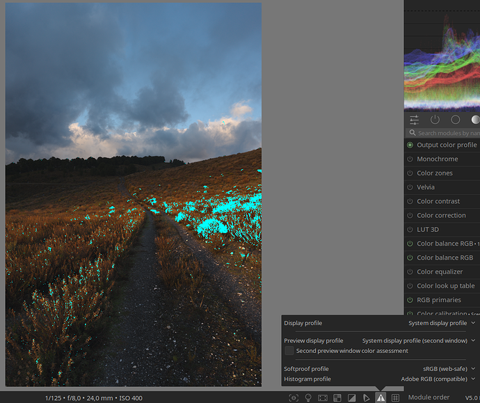 captura-2026-01-09_12-08-05
