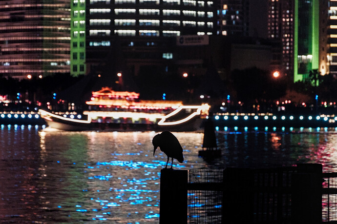 2024-02-19T20:28:5311582875