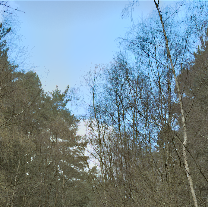 Screenshot_20230415_164747