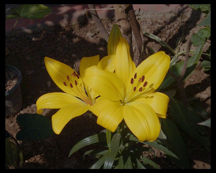 How much can you improve_1709882624956