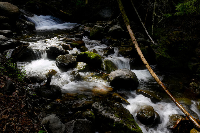 _DSC6136